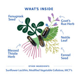 Close-up of Motherlove More Milk Special Blend capsules