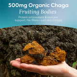 Close-up of MYCL Chaga Mushroom Gummies showing texture