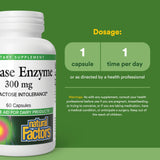 Close-up of Natural Factors Lactase Enzyme Capsule