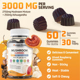 Close-up of Nature Echo Mushroom Gummies showing raspberry flavour