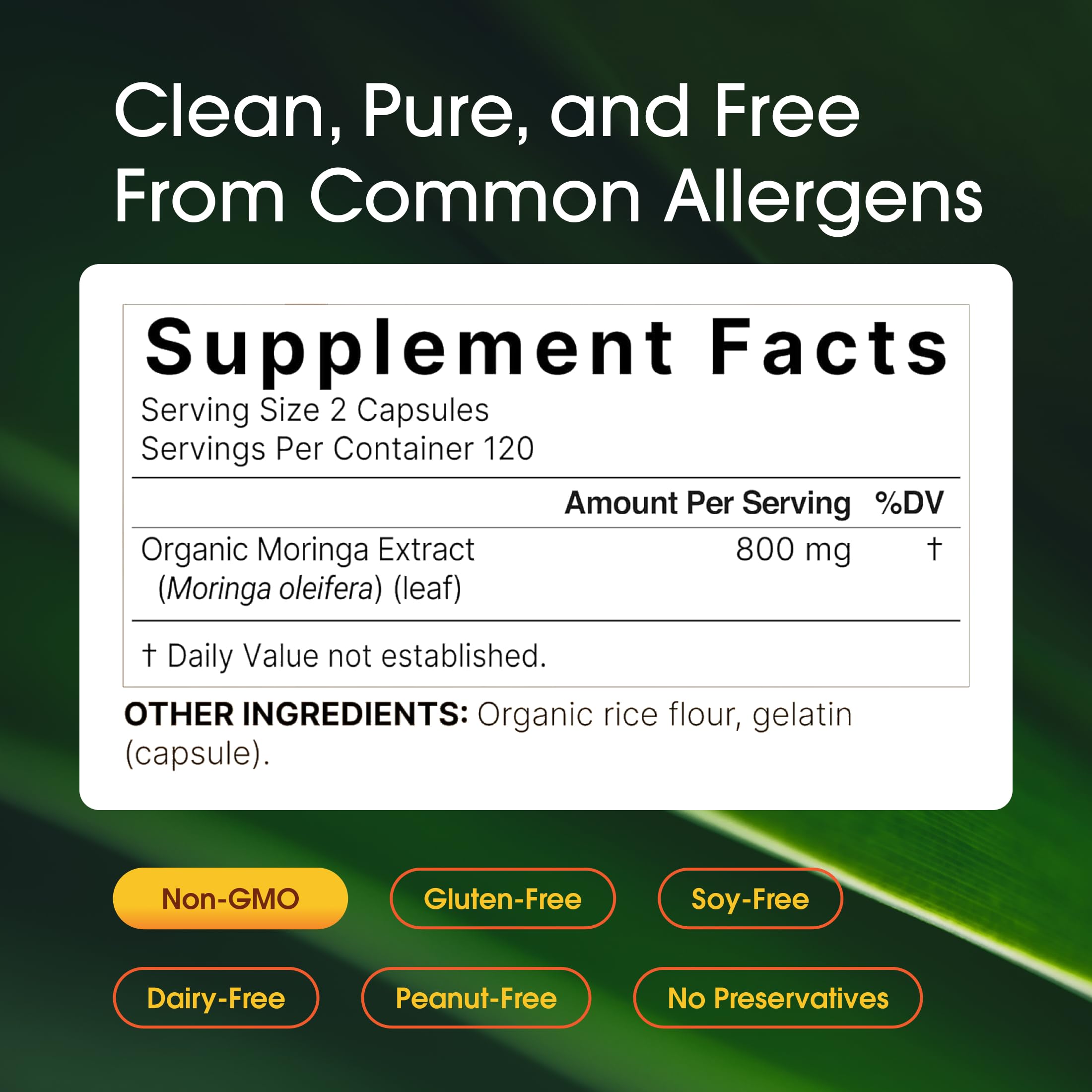 Close-up of NatureBell Moringa Extract Capsules
