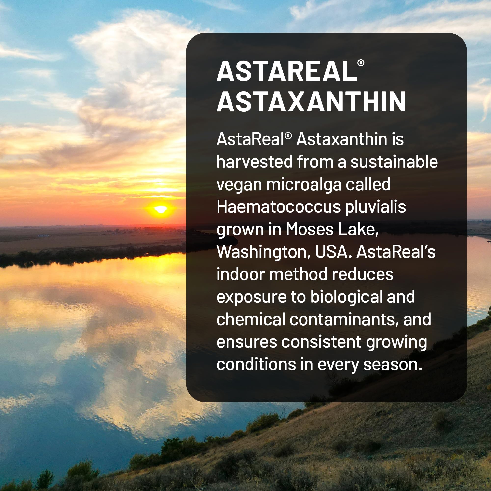 Close-up of NatureWise Astaxanthin softgel showing size and shape