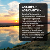 Close-up of NatureWise Astaxanthin softgel showing size and shape