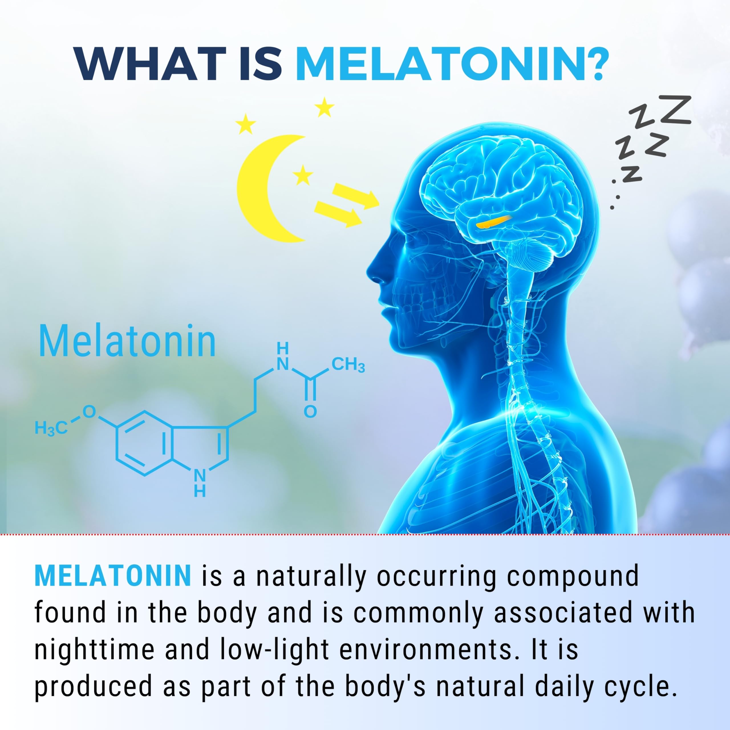 Close-up of nETiXER Melatonin Gummies displaying blackcurrant flavour
