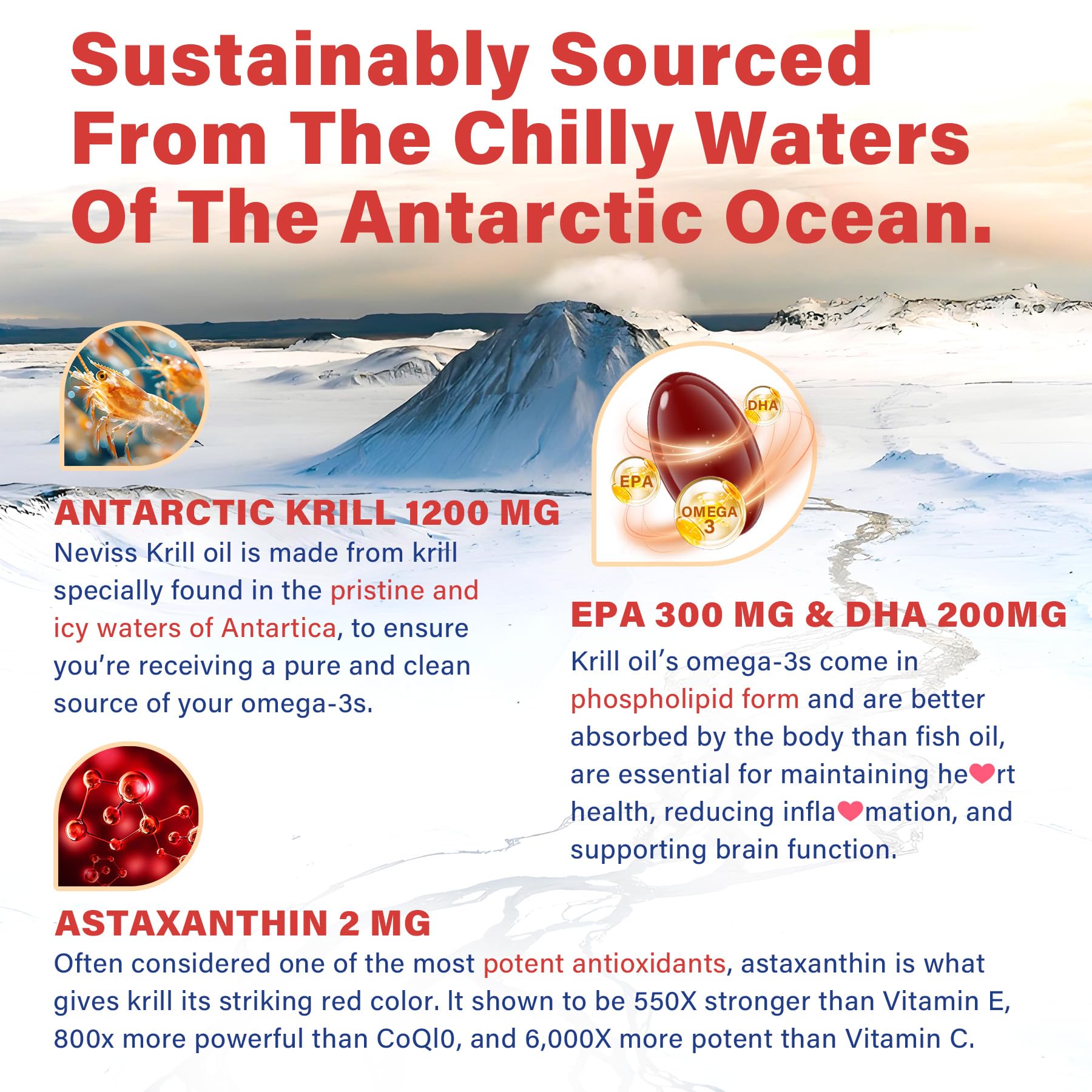 Close-up of NEVISS Antarctic Krill Oil softgel