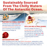 Close-up of NEVISS Antarctic Krill Oil softgel