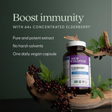 Close-up of New Chapter Elderberry Force capsules