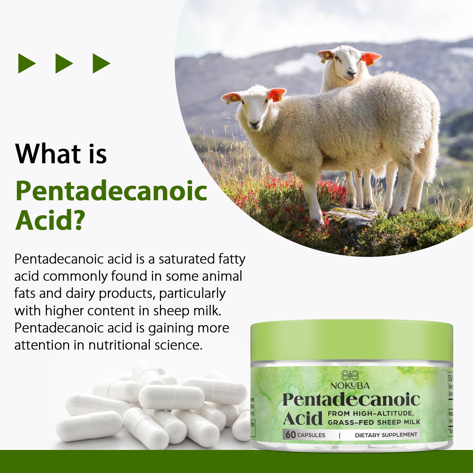 Close-up of Nokuba Pentadecanoic Acid Omega-3 capsule