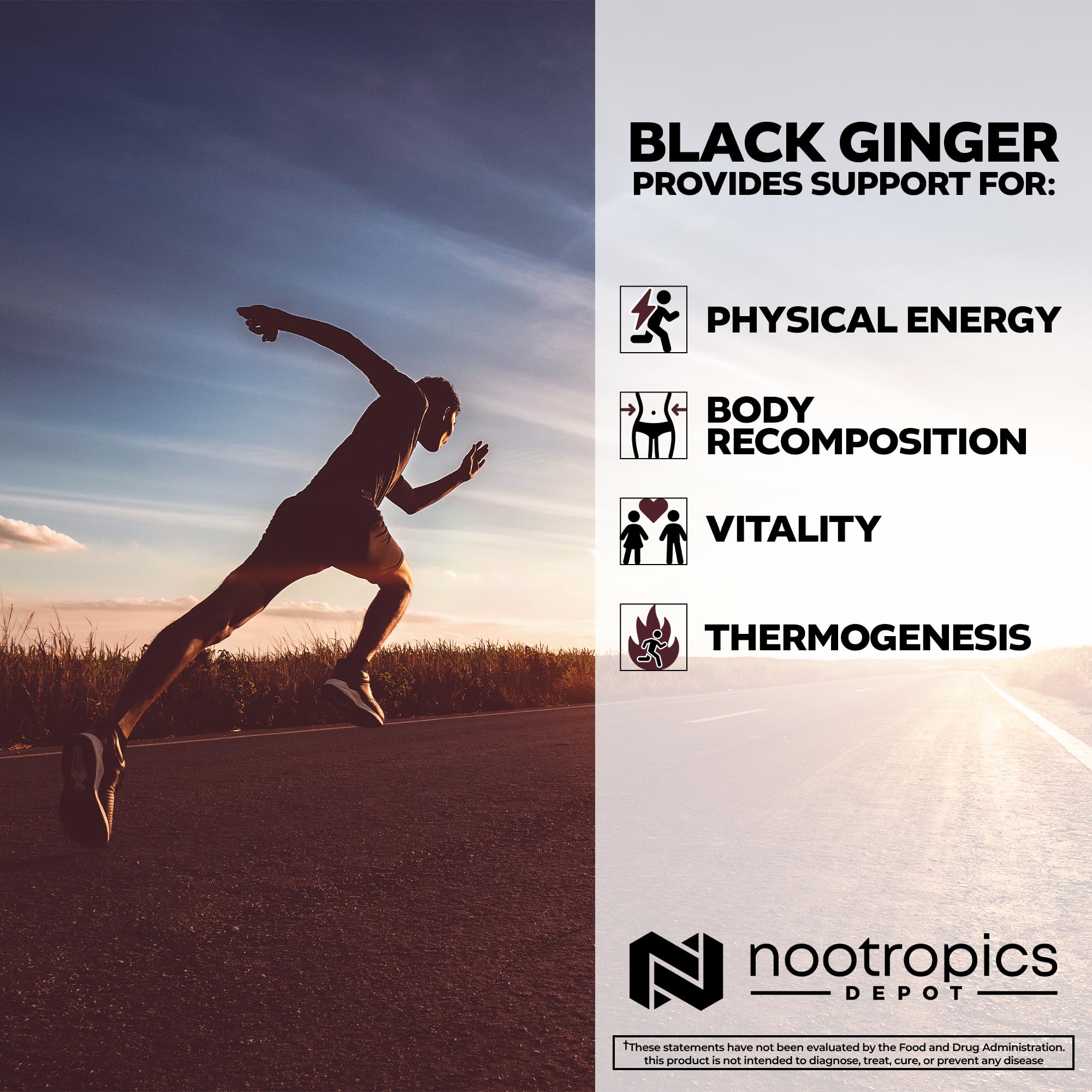 Close-up of Nootropics Depot Black Ginger Extract Capsules