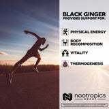 Close-up of Nootropics Depot Black Ginger Extract Capsules