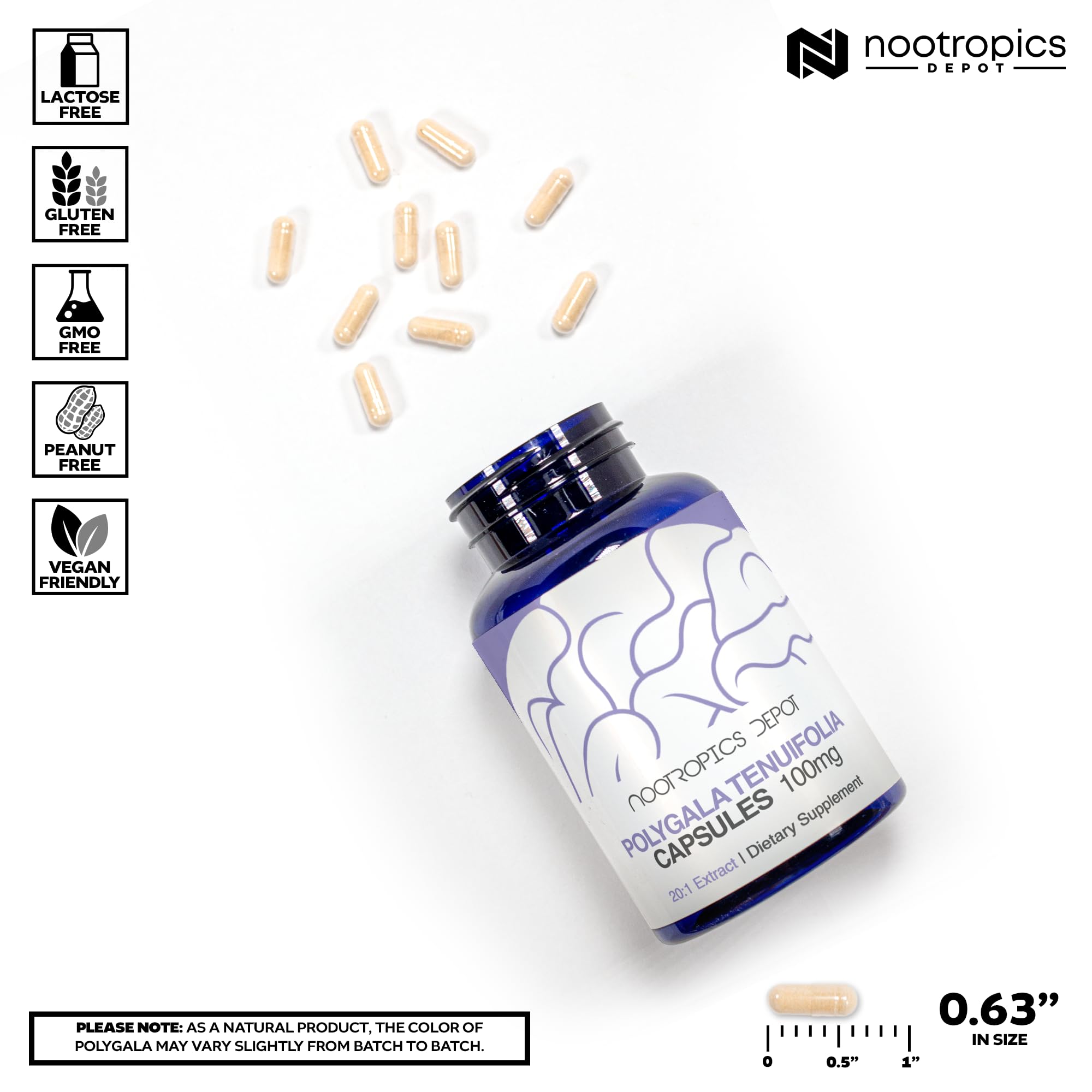 Close-up of Nootropics Depot Polygala Tenuifolia Capsules