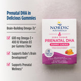 Close-up of Nordic Naturals Zero Sugar Prenatal Gummy Chews showing gummies