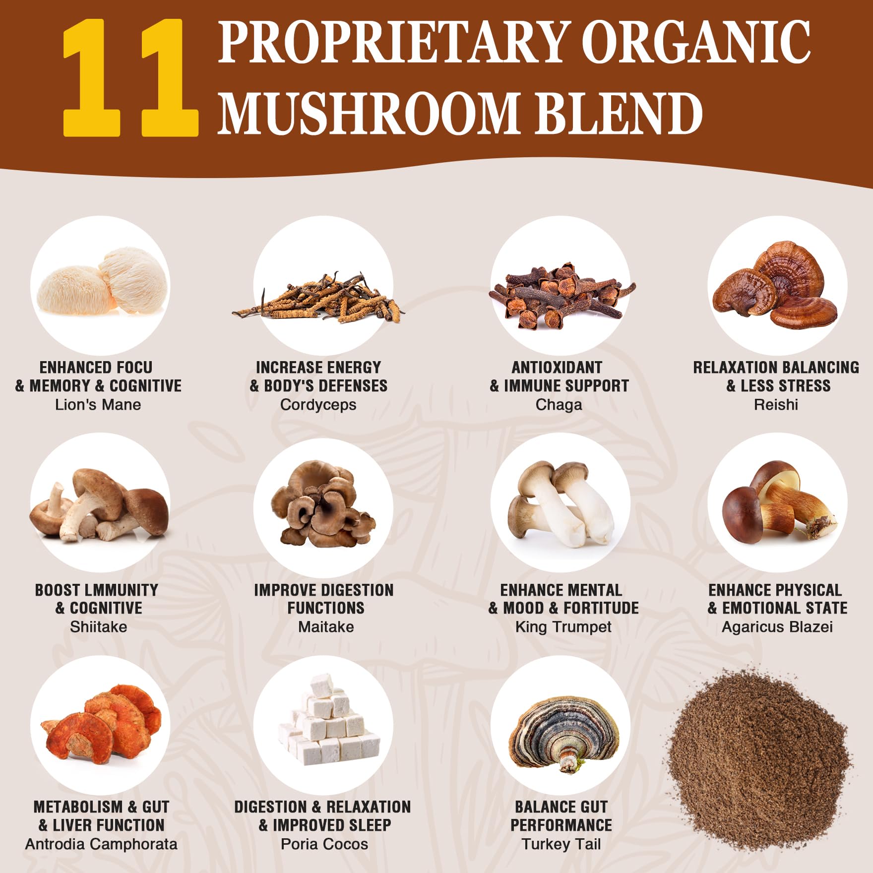 Close-up of OLOBIO 11 Mushroom Coffee Blend ingredients
