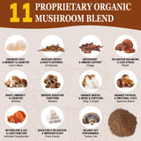 Close-up of OLOBIO 11 Mushroom Coffee Blend ingredients