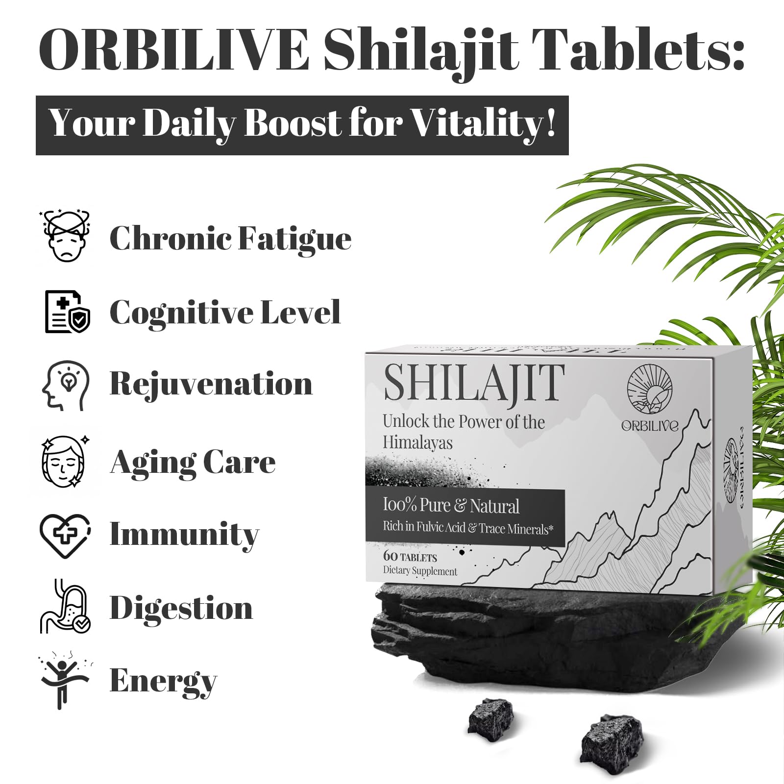 Close-up of ORBILIVE Shilajit Tablets