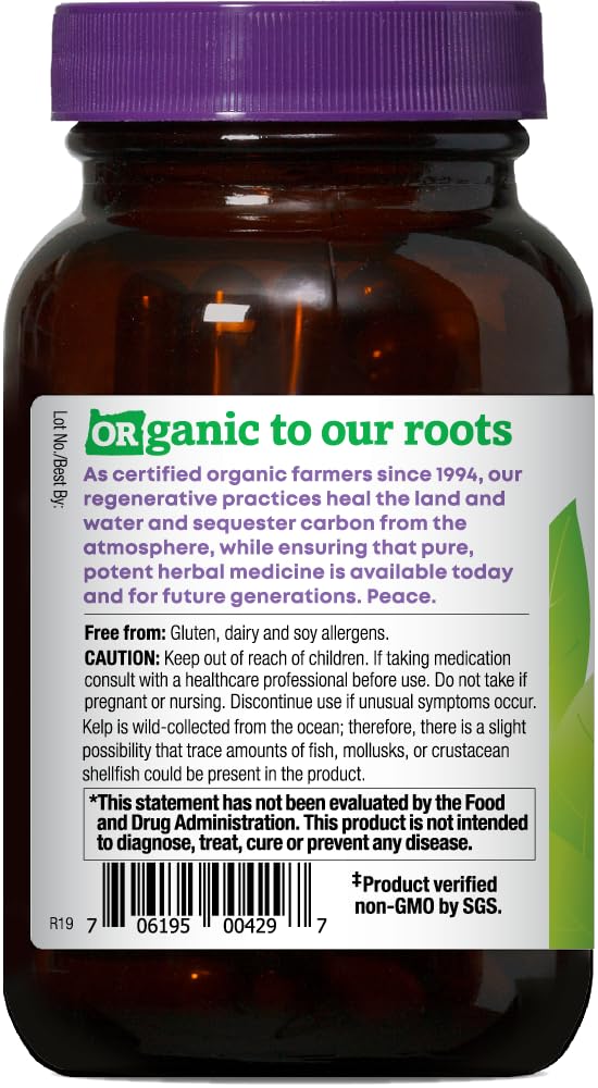 Close-up of Oregon's Wild Harvest Organic Kelp Iodine Supplement capsules