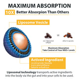 Close-up of Orgabay Liposomal Nicotinamide Riboside softgel