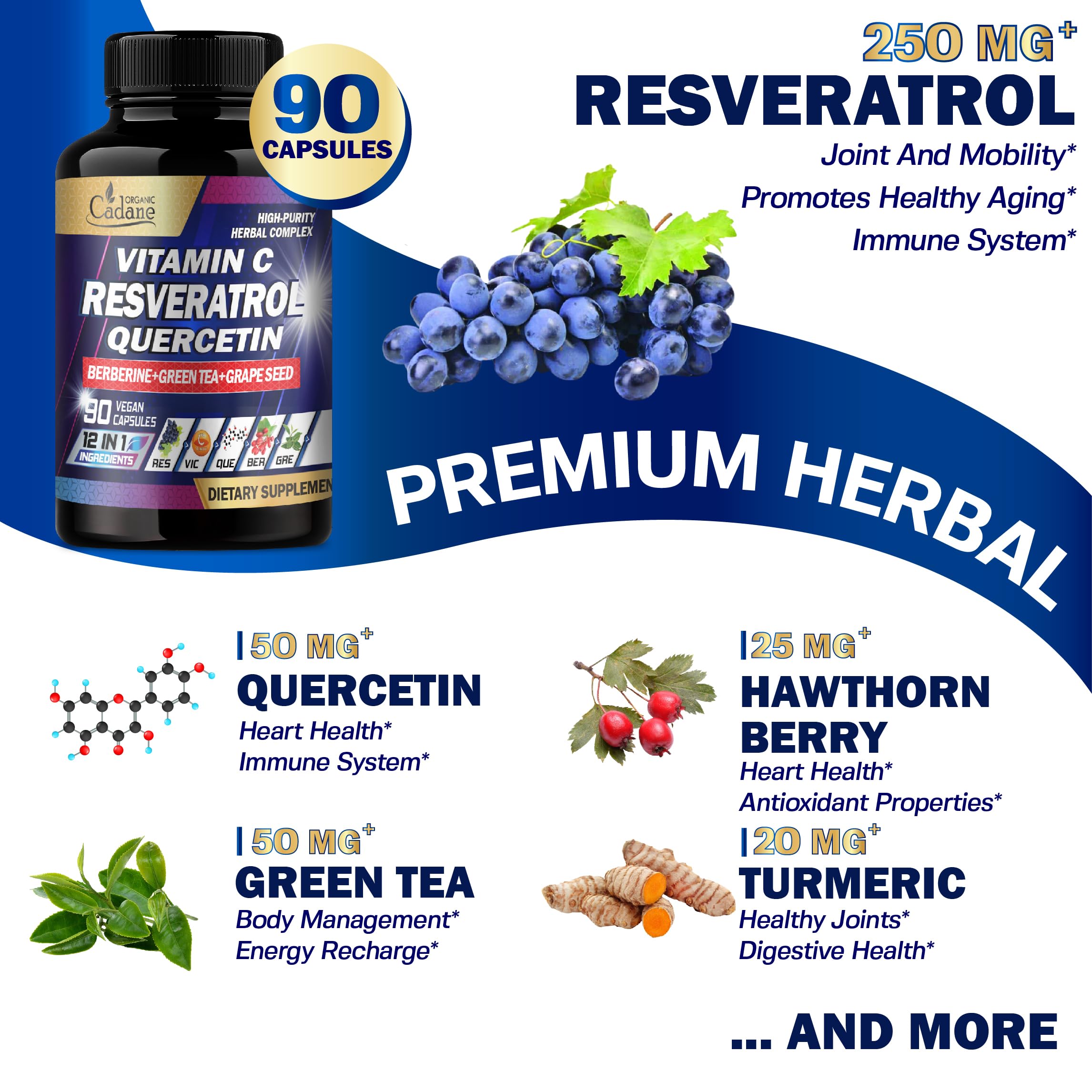 Close-up of Organic Cadane Resveratrol Complex capsules