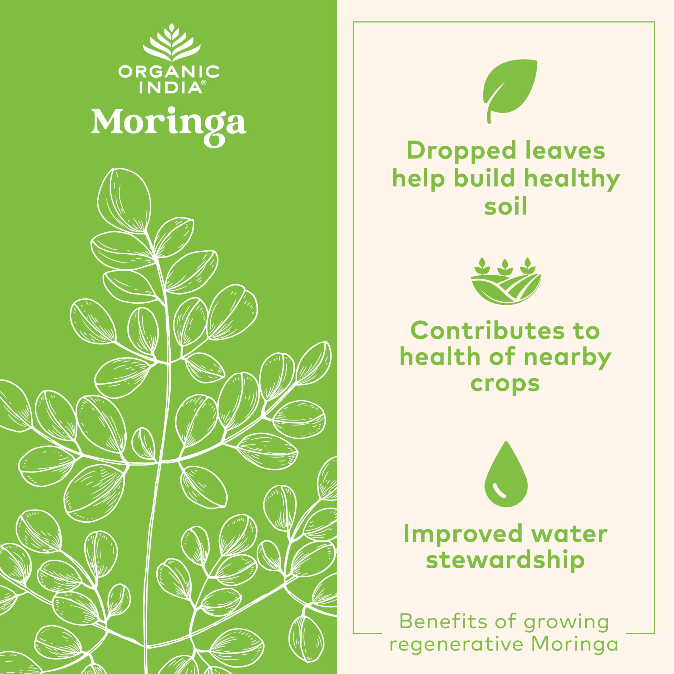 Close-up of ORGANIC INDIA Moringa Oleifera capsules