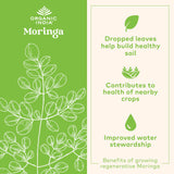 Close-up of ORGANIC INDIA Moringa Oleifera capsules