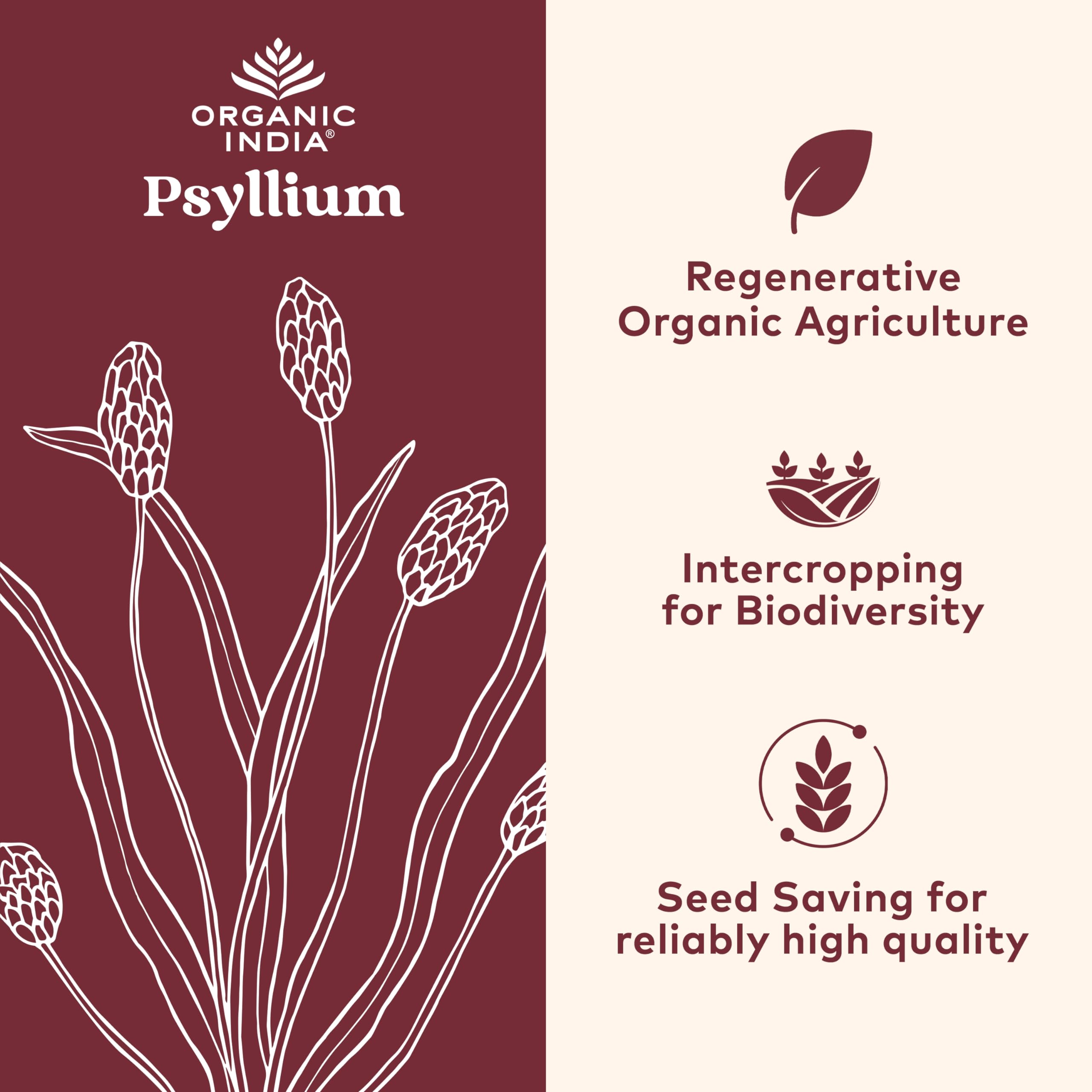 Close-up of ORGANIC INDIA Psyllium Husk 590g ingredients