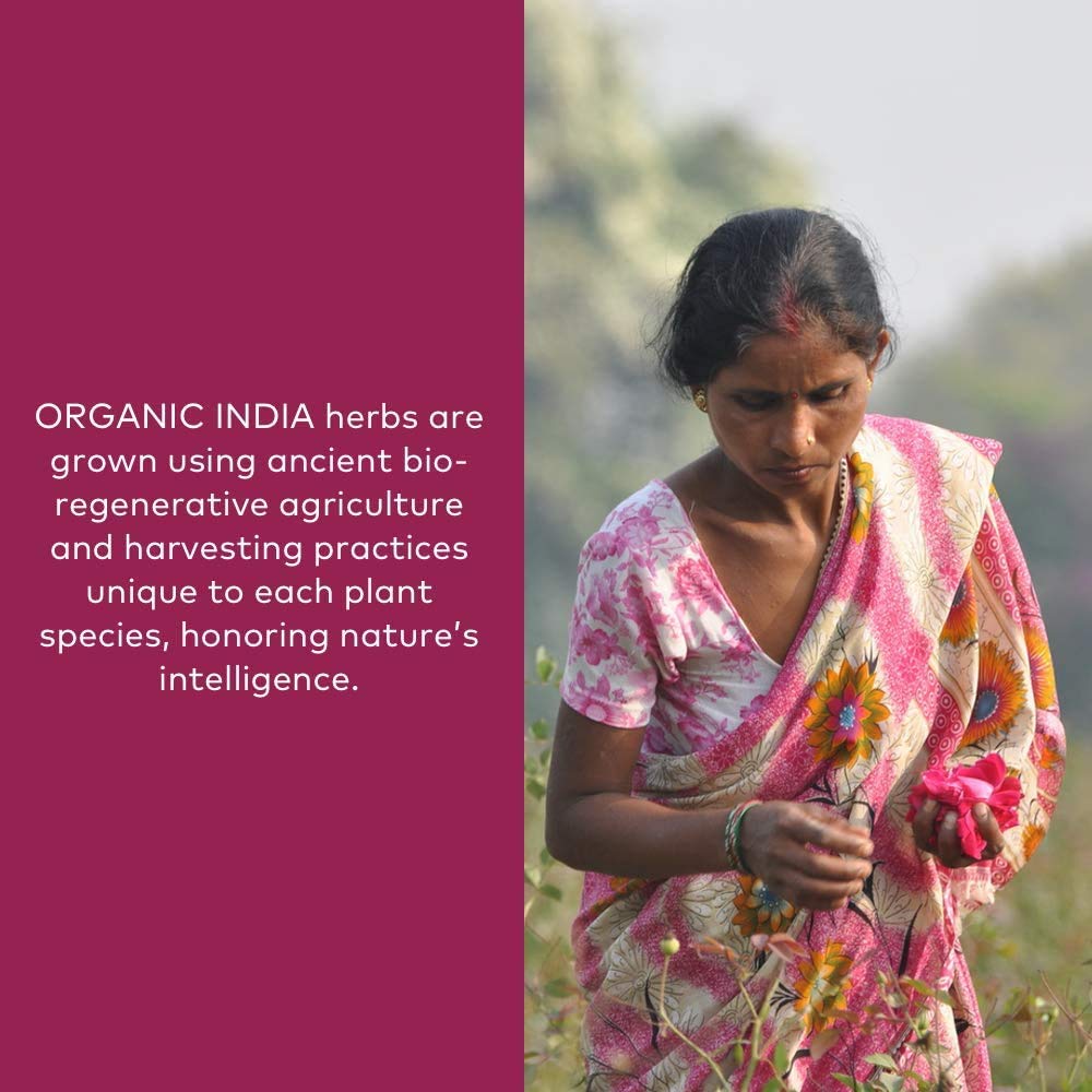 Close-up of ORGANIC INDIA Triphala Powder scoop