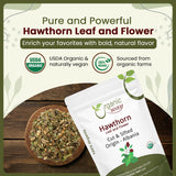 Close-up of Organic Way Hawthorn Leaf and Flower Cut & Sifted