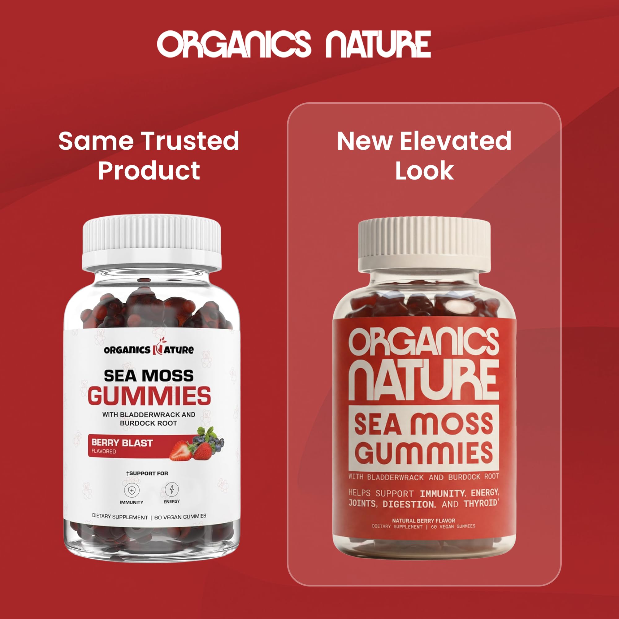 Close-up of ORGANICS NATURE Sea Moss Gummies with sea moss ingredients