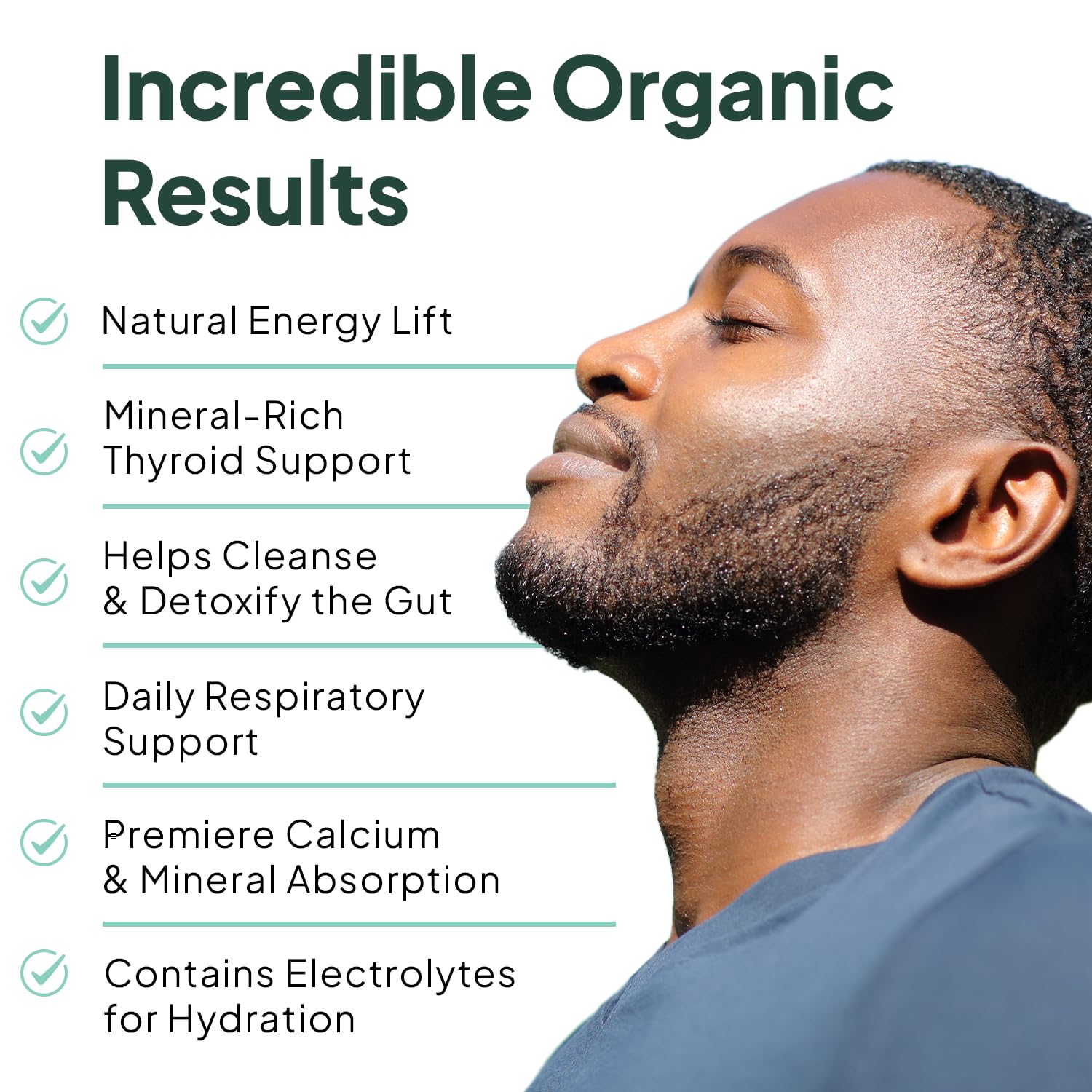 Close-up of Organics Ocean Wild Crafted Sea Moss Capsules