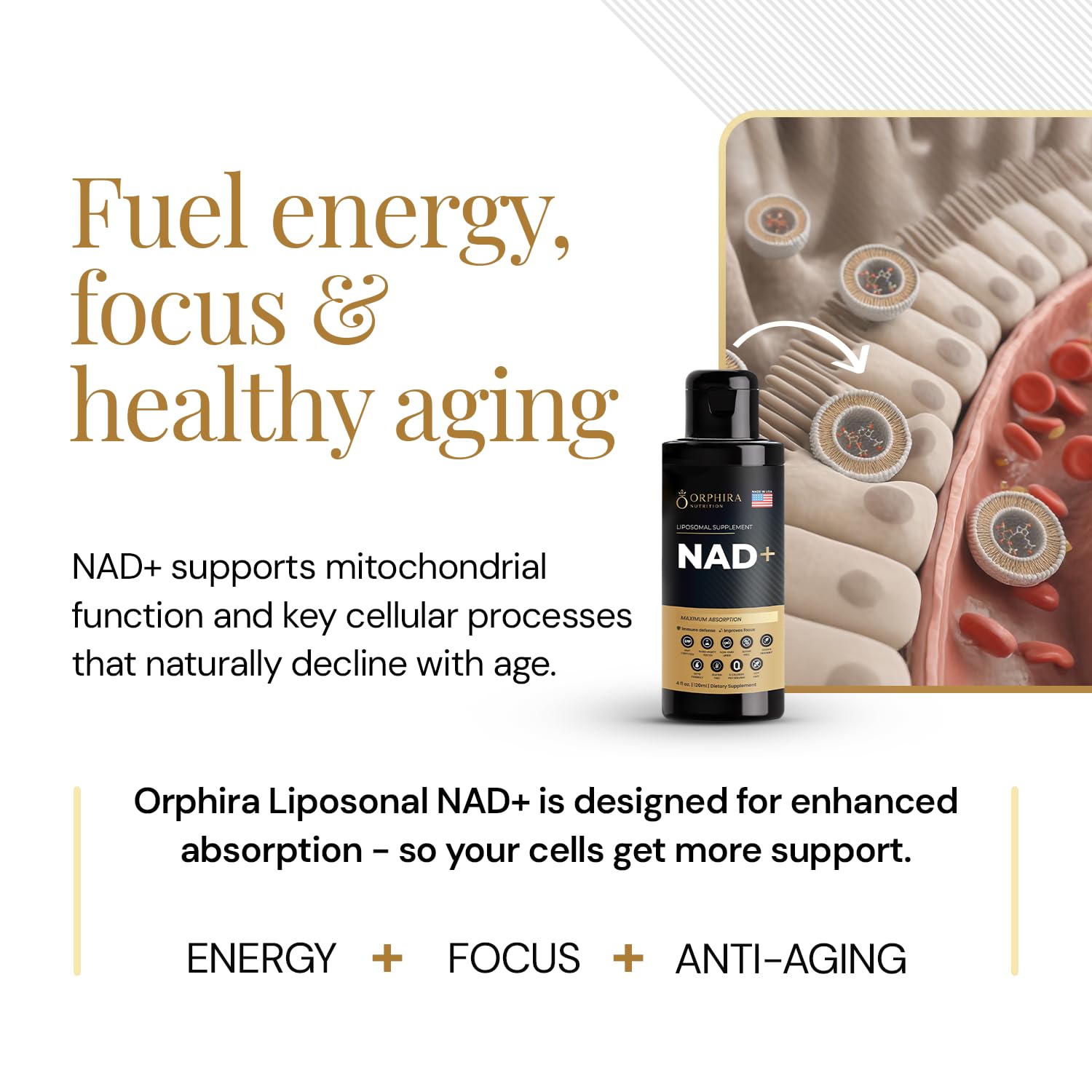 Close-up of Orphira Nutrition Liposomal NAD+ Liquid Supplement label