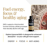 Close-up of Orphira Nutrition Liposomal NAD+ Liquid Supplement label