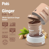 Close-up of PALS Ginger Extract Capsules showing liquid-filled design