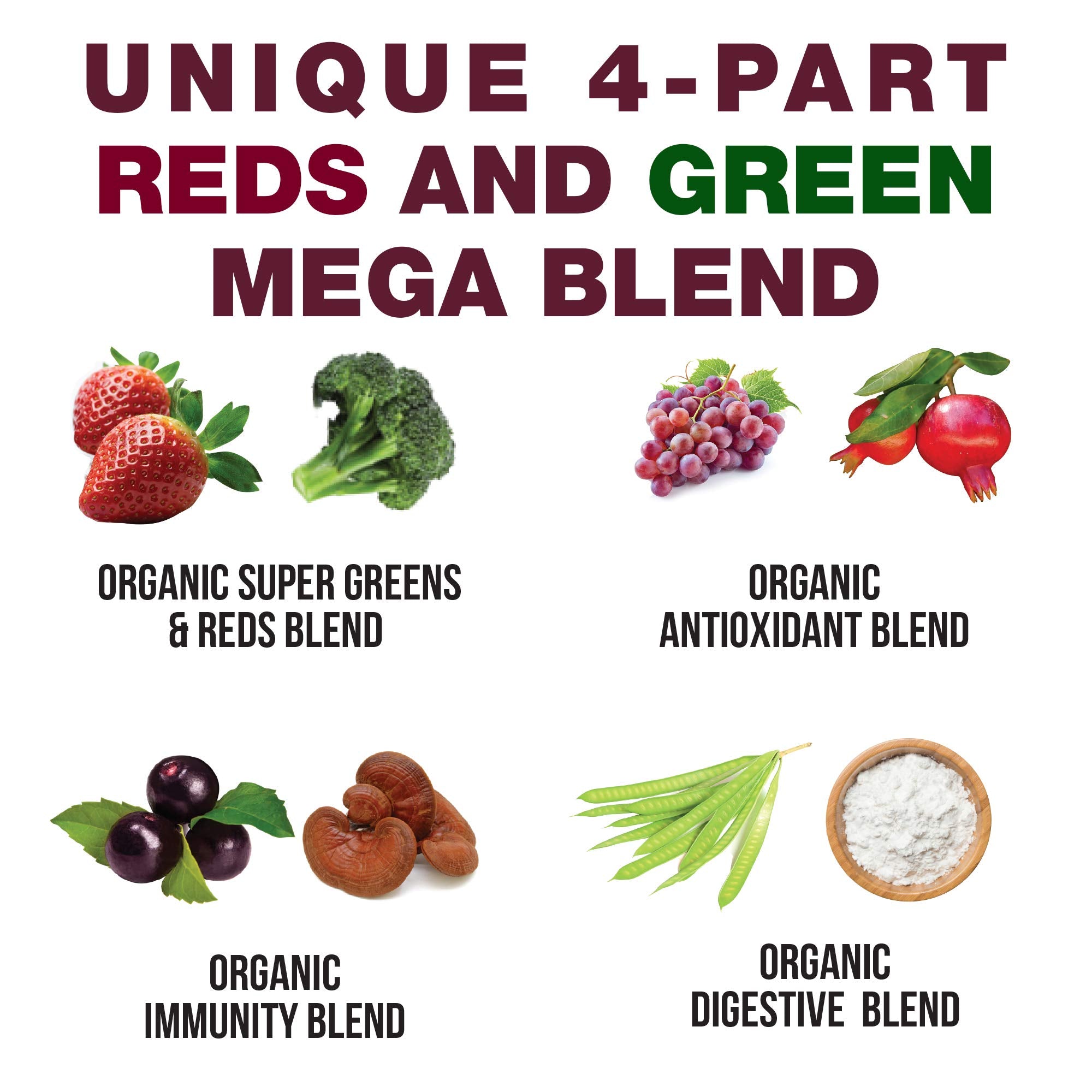 Close-up of Peak Performance Kids Greens + Reds Supplement ingredients