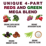 Close-up of Peak Performance Kids Greens + Reds Supplement ingredients