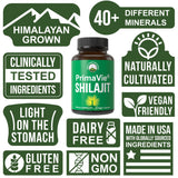Close-up of Peak Performance PrimaVie Purified Shilajit capsule