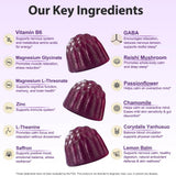 Close-up of PENGCHI Mushroom Sleep Gummies blueberry flavour
