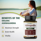 Close-up of PRATIC LINE Ashwagandha capsules