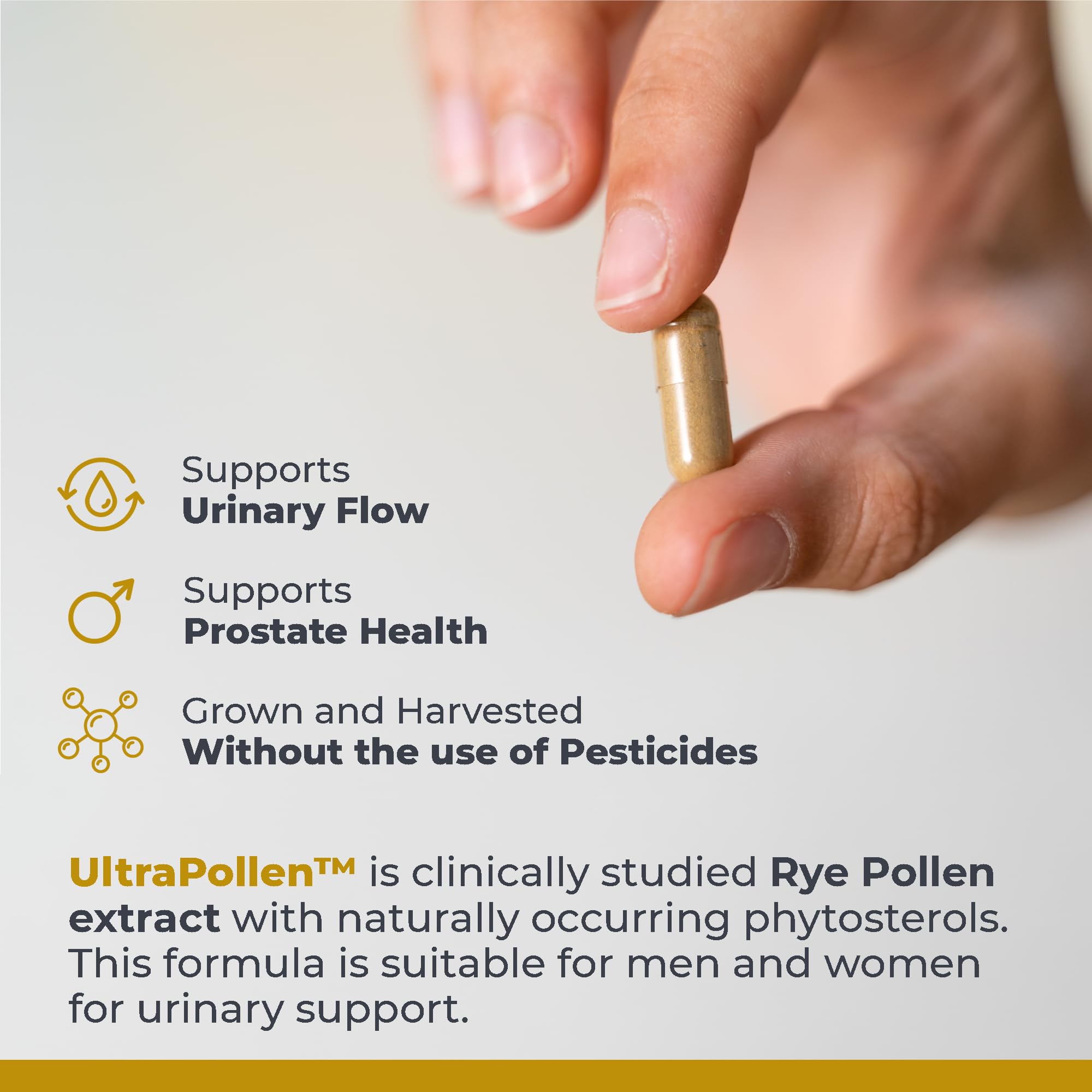Close-up of Premier Research Labs Bee Pollen Extract capsule