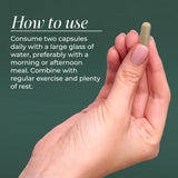 Close-up of Primal Harvest Primal daily wellness Defense capsules