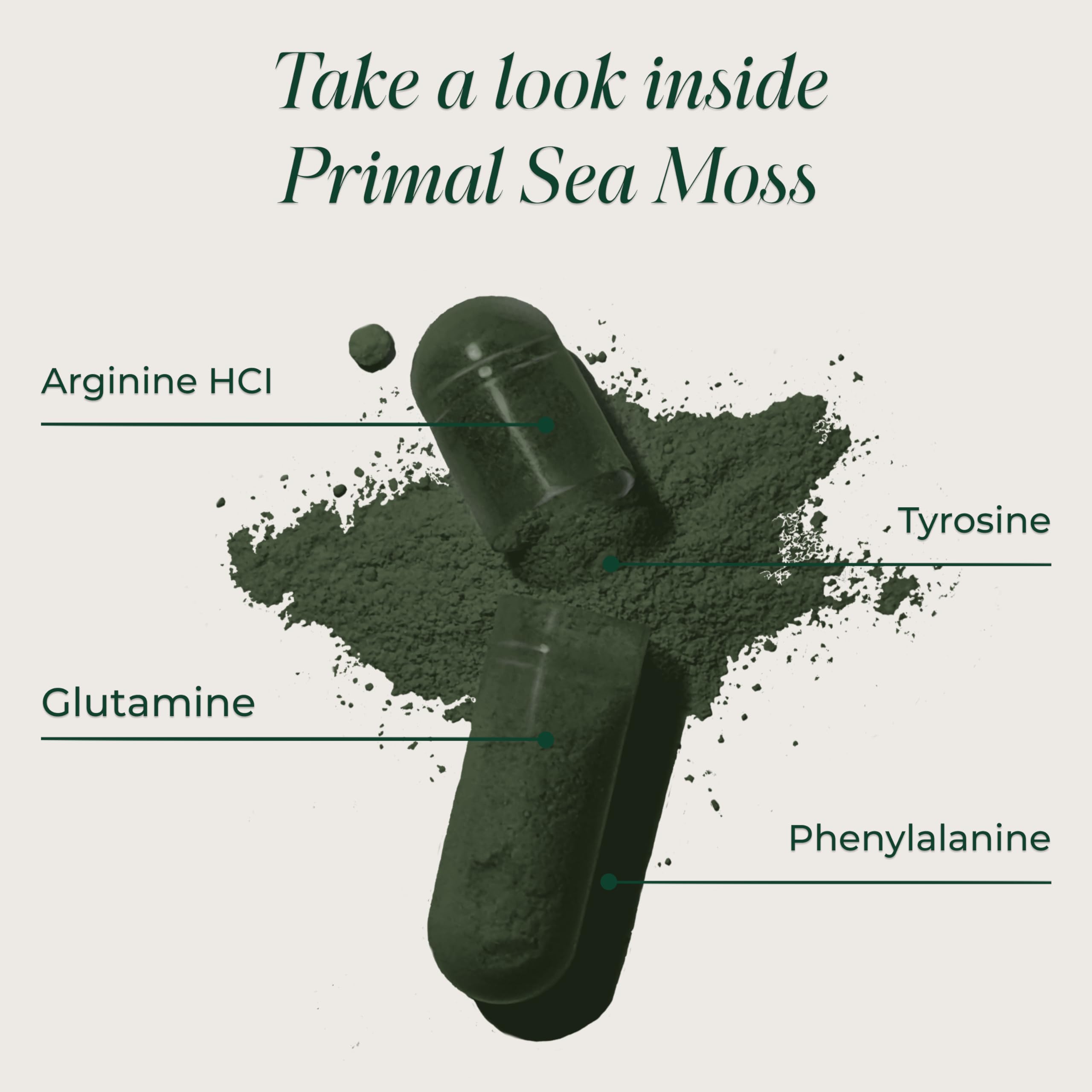 Close-up of Primal Harvest Sea Moss Complex capsules