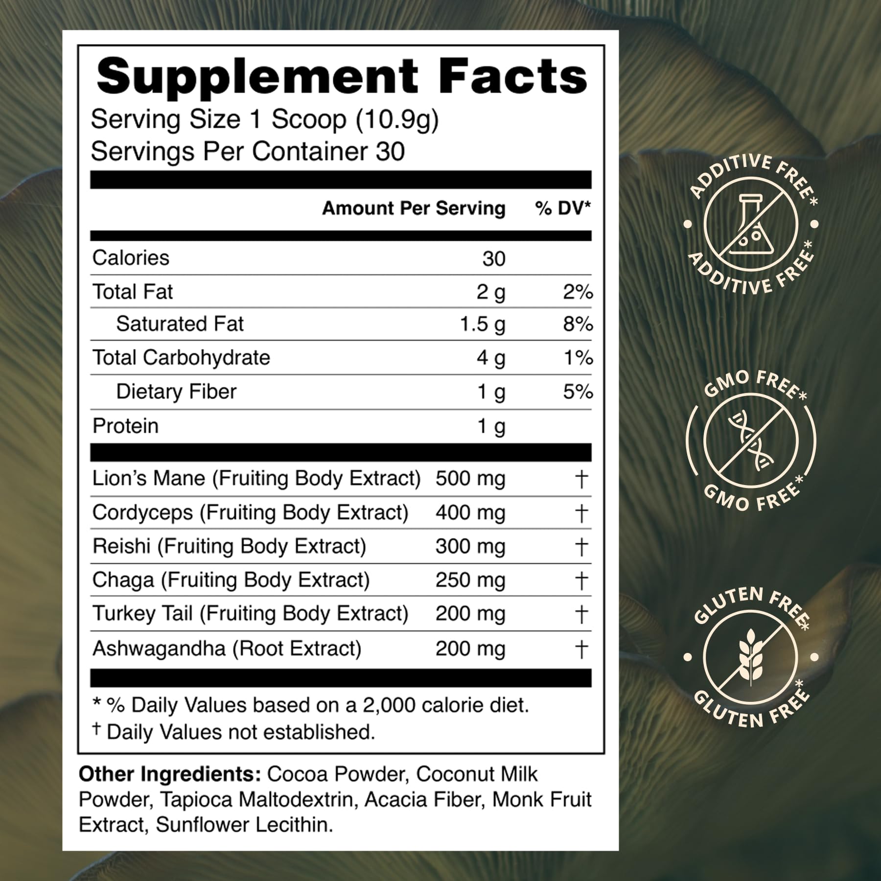 Close-up of Prosper Mushroom Cocoa powder