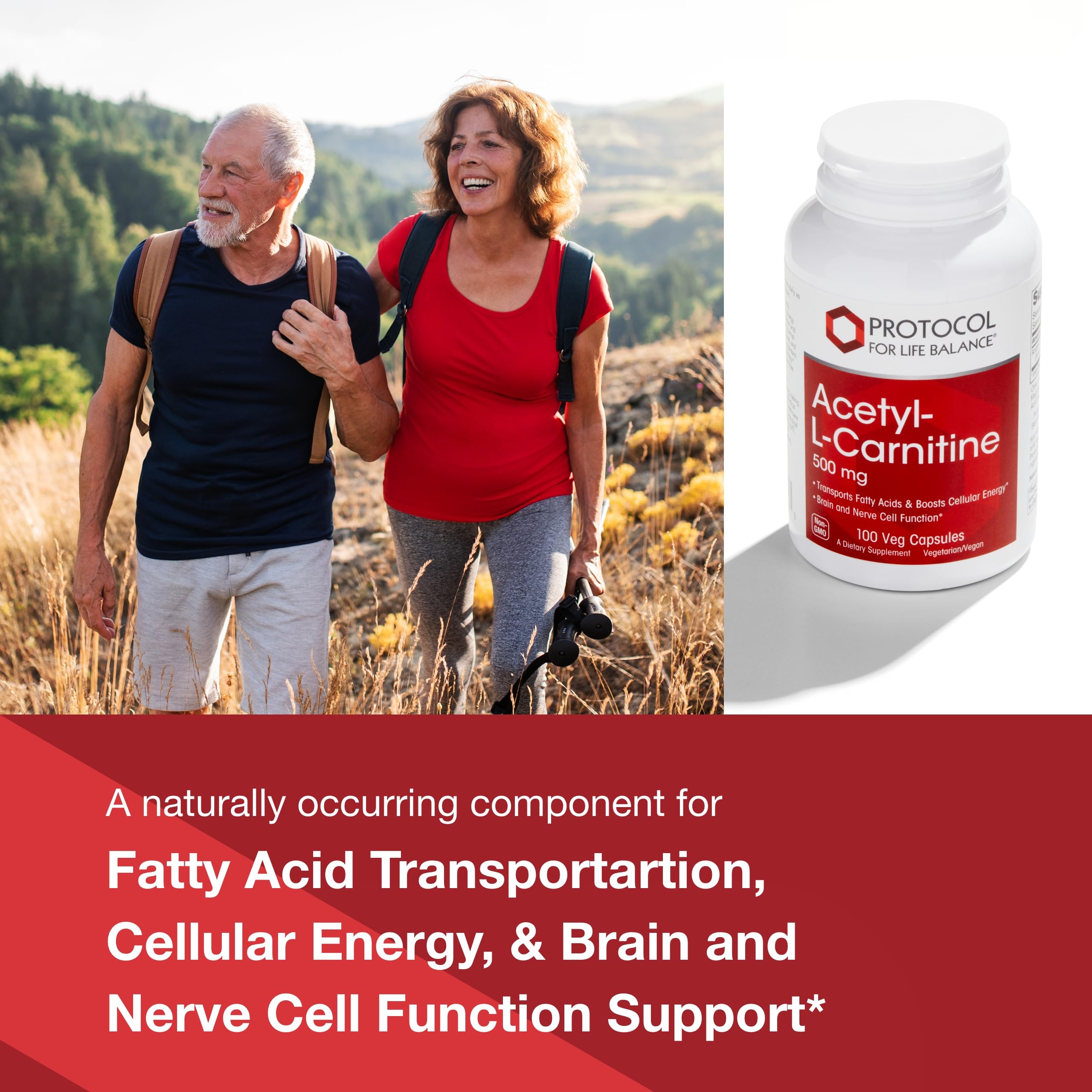 Close-up of PROTOCOL FOR LIFE BALANCE Acetyl-L-Carnitine Veg Capsule