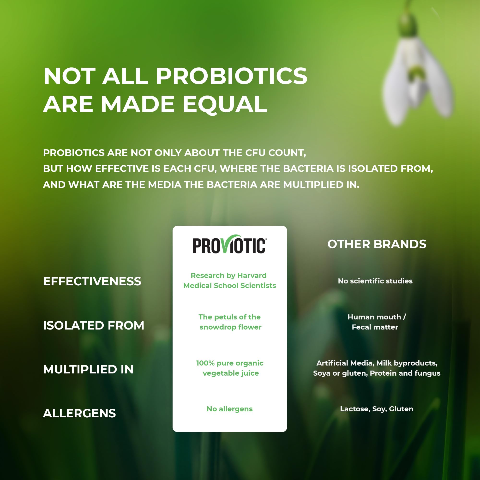 Close-up of PROVIOTIC Vegan Probiotic Capsules showing capsule design