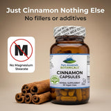 Close-up of Pure Mountain Botanicals Cinnamon Bark Capsules showing capsule size