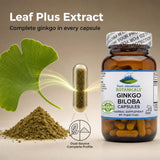 Close-up of Pure Mountain Botanicals Ginkgo Biloba capsule