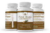 Close-up of PURE ORIGINAL INGREDIENTS Pine Bark Extract Capsules