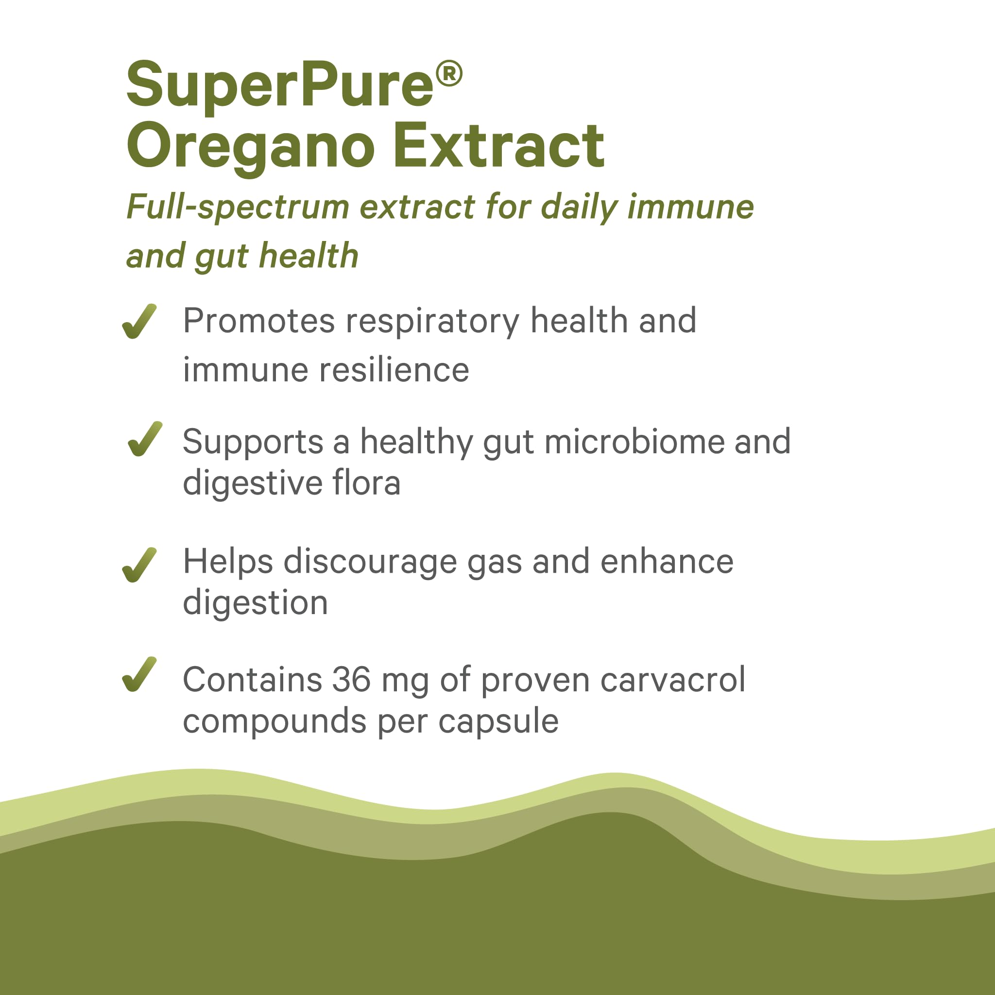 Close-up of PURE SYNERGY Organic Oregano Oil Capsules