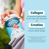 Close-up of Purely Inspired Collagen + Creatine powder texture