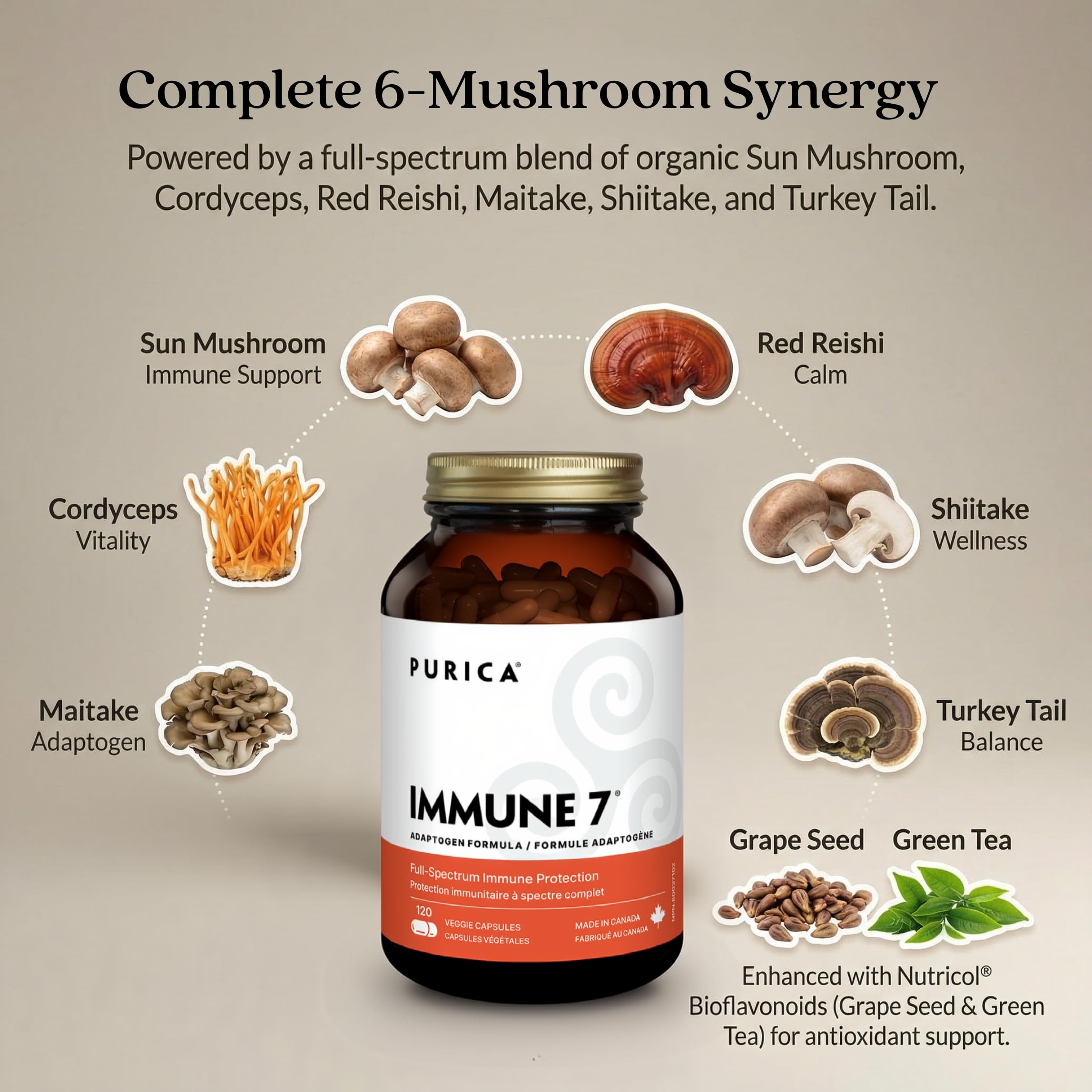 Close-up of PURICA Organic Mushroom Supplements capsules