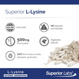 Close-up of quality Labs L-Lysine 500mg capsules